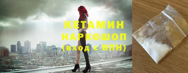 твердый Дмитровск