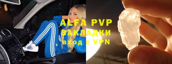 твердый Дмитровск