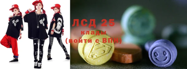 твердый Дмитровск