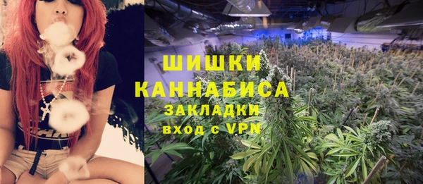 бутират Дмитриев