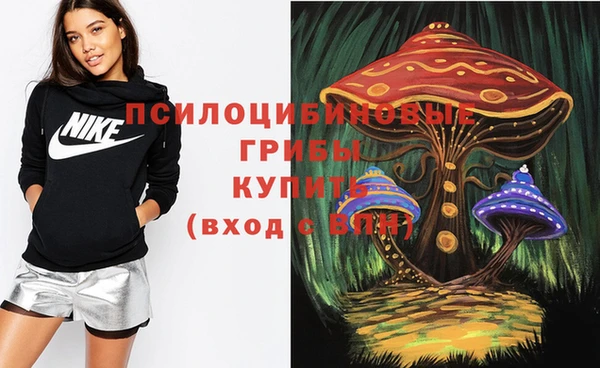 бутират Дмитриев