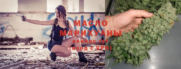 твердый Дмитровск