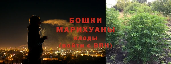 твердый Дмитровск