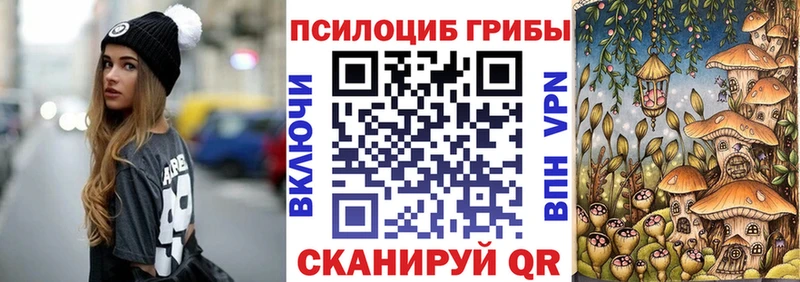 Псилоцибиновые грибы Cubensis Сыктывкар
